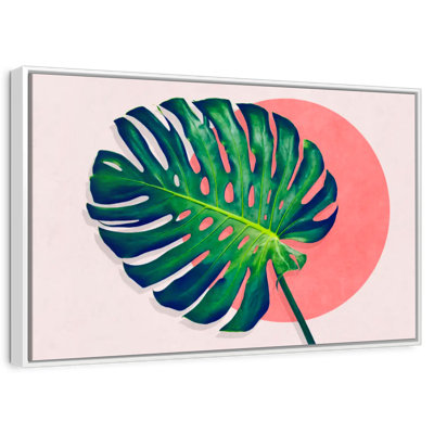 Monstera Paradise