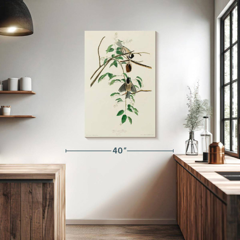 Mésange Brampt Carolina, H 39 po x l 26 po