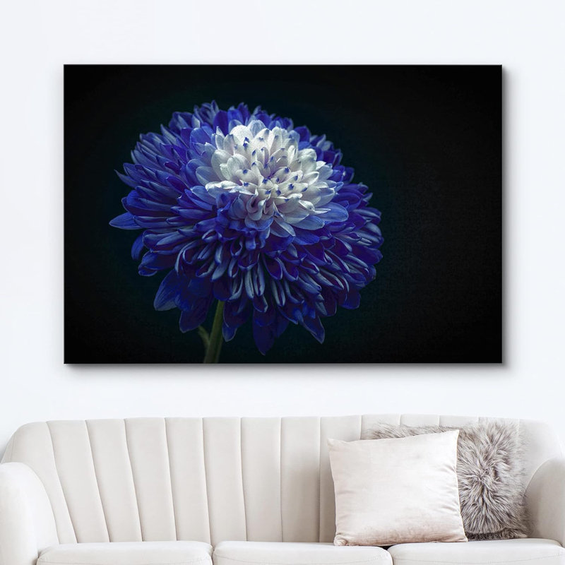 Flower Blossom " Blooming Blue White Chrysanthemum ", 12'' H x 18'' W