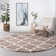 Jasmyn Performance Tan/White Shag Rug