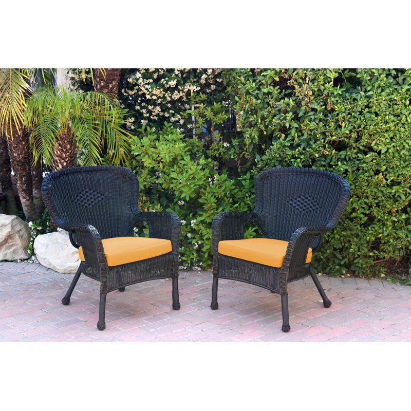 Chaise de patio avec coussins Batchelder, Noir, Vert sauge