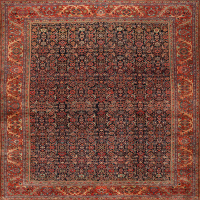 Hermione Oriental Indoor Rug