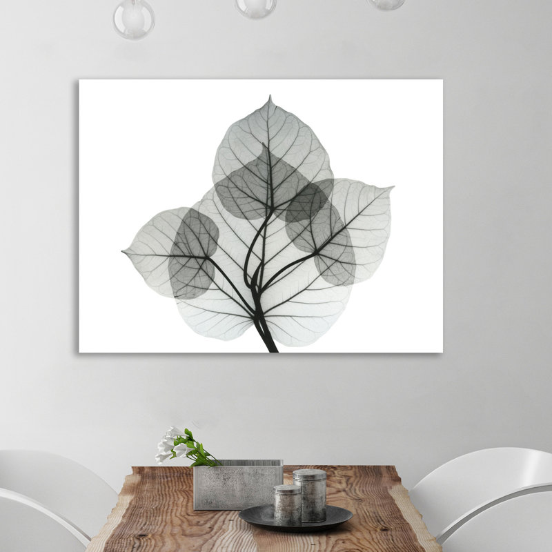 Bo Leaves I - Wrapped Canvas Print, 30 cm H x 41 cm W