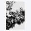 « pin tree », impression sur toile-74387613-74387614-29681969