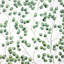«Climbing Leaves» - Reproduction matte encadrée blanche pour la décoration intérieure-1090770342