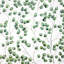 «Climbing Leaves» - reproduction matte encadrée pour la décoration intérieure