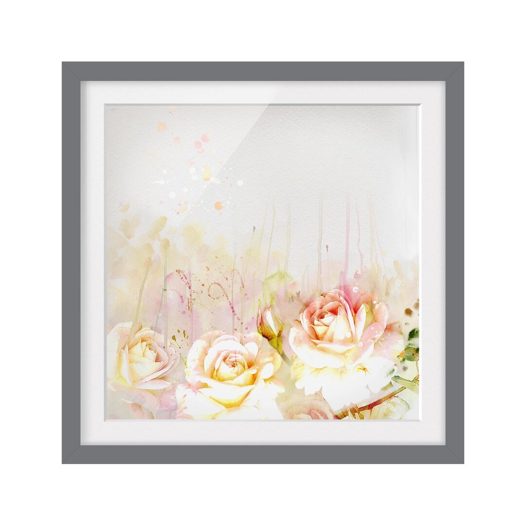 Gerahmtes Wandbild Rose blüht Aquarell