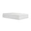 Camellia 15'' Plush Pillow Top-58173847