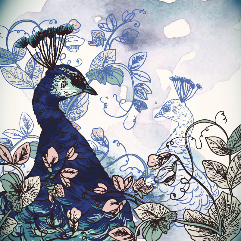 Illustrated Peacock by Princessmaro - Wrapped Canvas Print, 122cm H x 122cm W