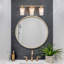3 - Light Dimmable Vanity Light
