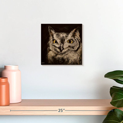 Brampt Black Background Owl