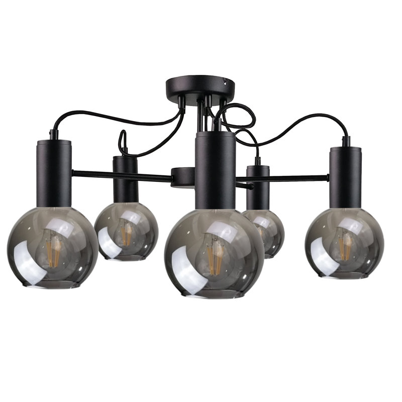 Baugher 5 - Light Unique/Statement Chandelier