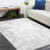 Mitesh Abstract Hand-Knotted Area Rug in Gray