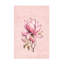 Magnolia rose n ° 2-1387017153