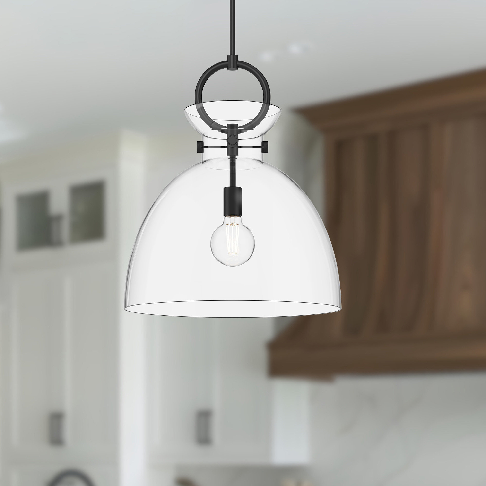 Tinka Single Light Glass Steel Pendant, Matte Black, Clear, 21.75" H x 18" W x 18" D