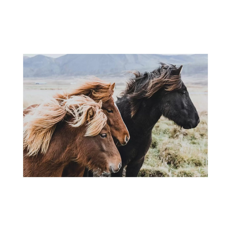 Eastern Region, Iceland I by Luke Anthony Gramme - Wrapped Canvas Print, 20.32 cm H x 30.48 cm W
