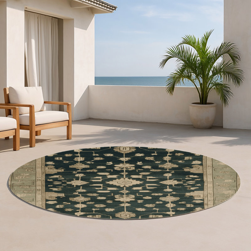Tapis intérieur et extérieur brun Overdyed, Rond 5 pi