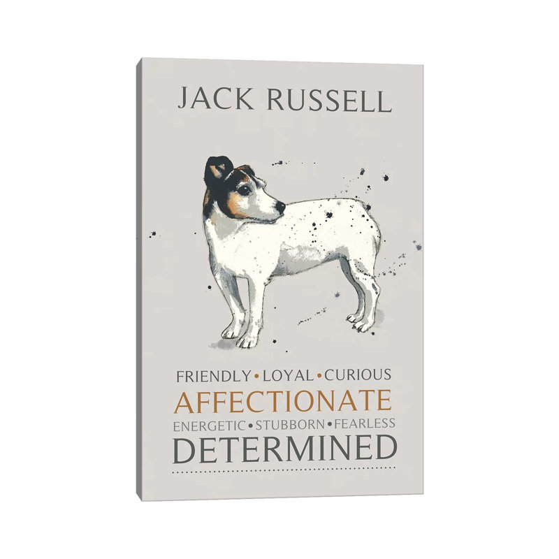 Jack Russell by Michelle Campbell - Wrapped Canvas Print, 30.48 cm H x 45.72 cm W