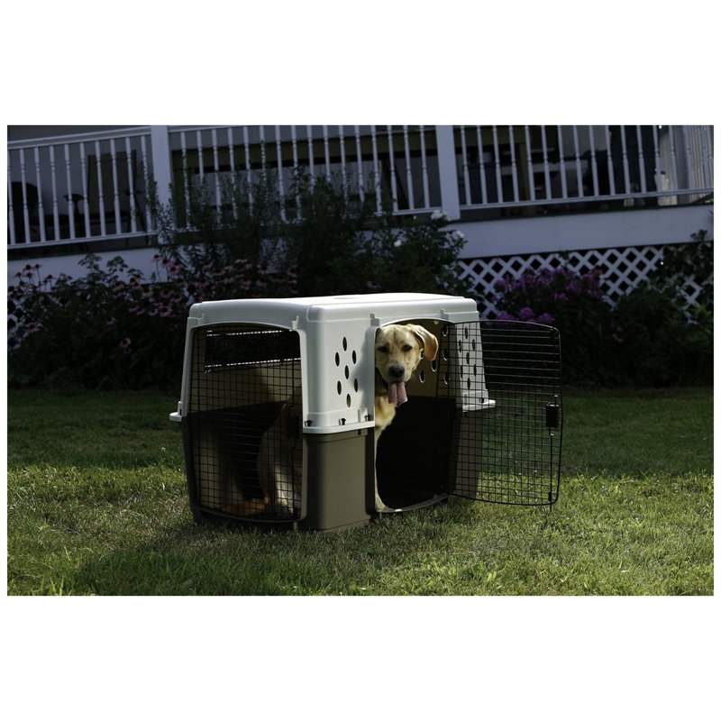  2-Door Pet Crate, Airline Approved Dog & Cat Carrier for Travel, XL