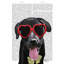 «Bungalow Rose Fab», reproduction d'art sur toile tendue, Labrador noir avec lunettes de soleil en forme de cœur-925314174