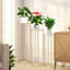 Iron Plant Stand 1 Tier Set of 3