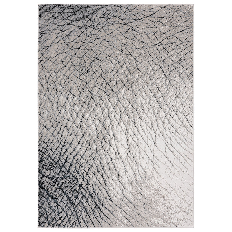 Tapis gris anthracite Aailiyah, Rectangle 7 pi 9 po x 9 pi 9 po
