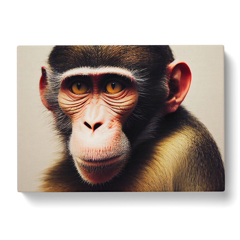 Monkey - Wrapped Canvas, 40cm H x 60cm W x 3cm D