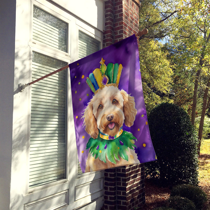 Double Sided 28'' H x 40'' W Polyester Mardi Gras House Flag