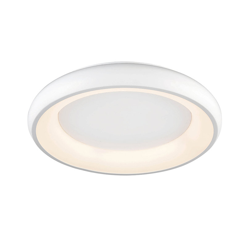 Hyler Glass LED Ceiling Light