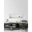 Wild Buffalo - Single Picture Frame Print-301116956