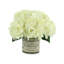 Spring Additions Hydrangea French Label Bouquet