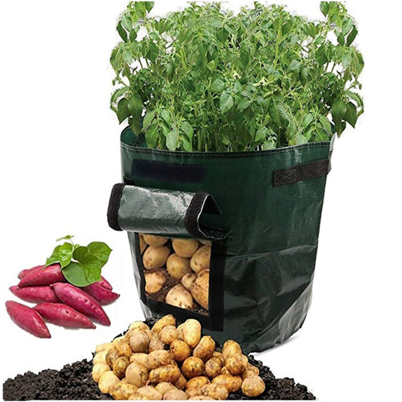 Anqi Pot Planter, 45cm H x 35cm W x 35cm D