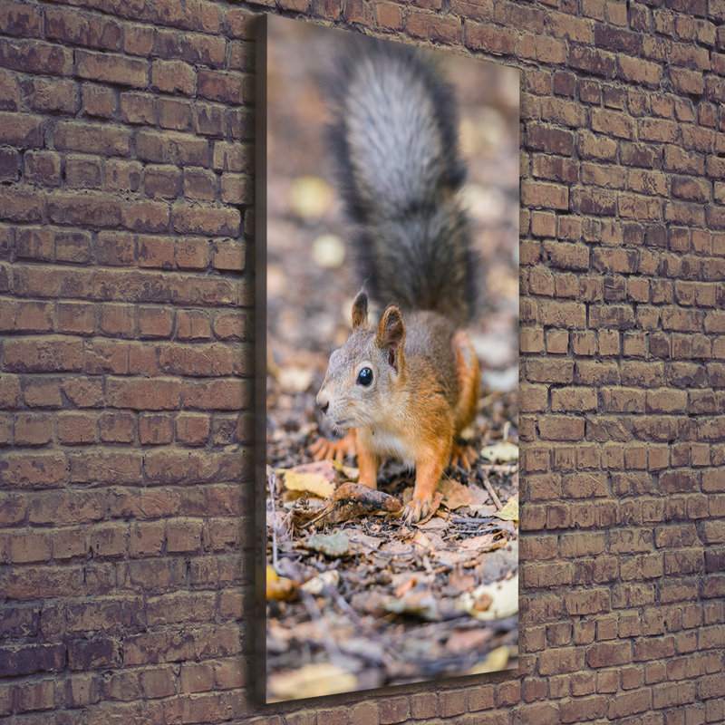 Squirrel In The Forest - Wrapped Canvas Print