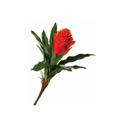 Orange, broméliacées, plante, fleur artificielle