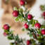 20" & 16" Artificial Christmas Boxwood Berry Tree Set of 2, Green-Red
