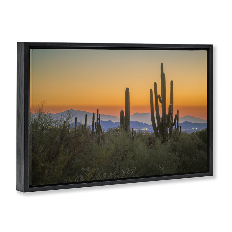 «Cacti Looming Sunset Floater» par Marty Hulsebos, Cadre flottant noir de jais, H 21 po x l 31 po