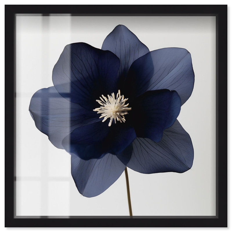 «Night Dal II Shadowbox», impression d'art floral bleu par Art Remedy, H 31 po x l 31 po, Noir