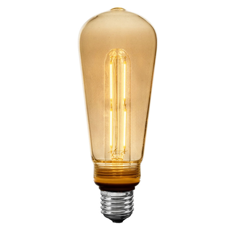 Ampoules de rechange Edison ST19 + T25 à filament DEL pour l'intérieur et l'extérieur de Festora Living Velora Tint, blanc chaud 2700 K, culot moyen E26, 4 watts