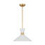 Luminaire suspendu moyen 1 lumière Belcarra-88980037