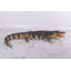 Bowley Animals Figurines & Sculptures