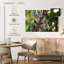 Koala australien-107922764