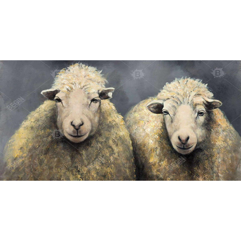 Wool Sheeps - Best Selling, Brun