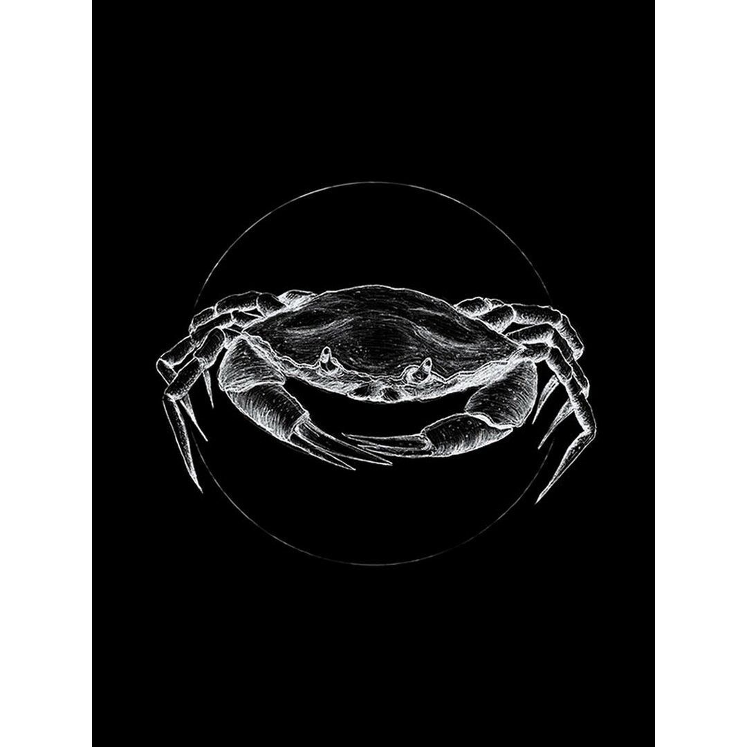 Poster Crab in Schwarz