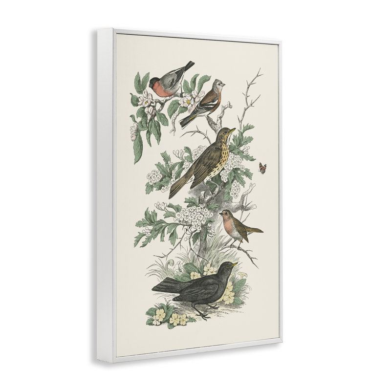 «Honeybloom Birds Perché», estampe numérique encadrée par Wild Apple Portfolio, H 30 po x l 20 po