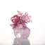 Plants & Flowers Crystal