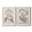 Antique sépia botanicals II, toile encadrée de qualité supérieure - prête à être accrochée-1525360192-1525360194