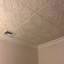 Tuile de plafond en polystyrène espagnol 1,6 pi x 1,6 pi-88912170