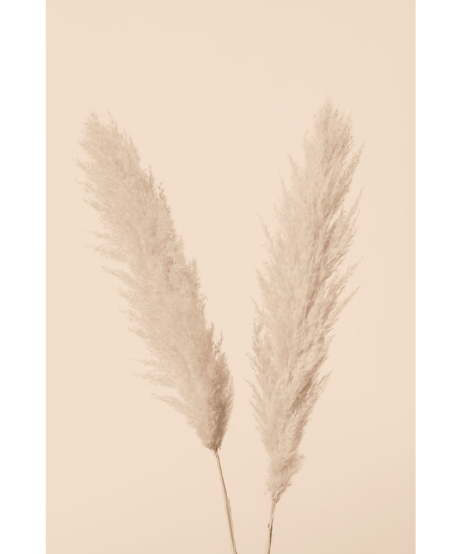 Wrapped Canvas Print, 50.8cm H x 76.2cm W