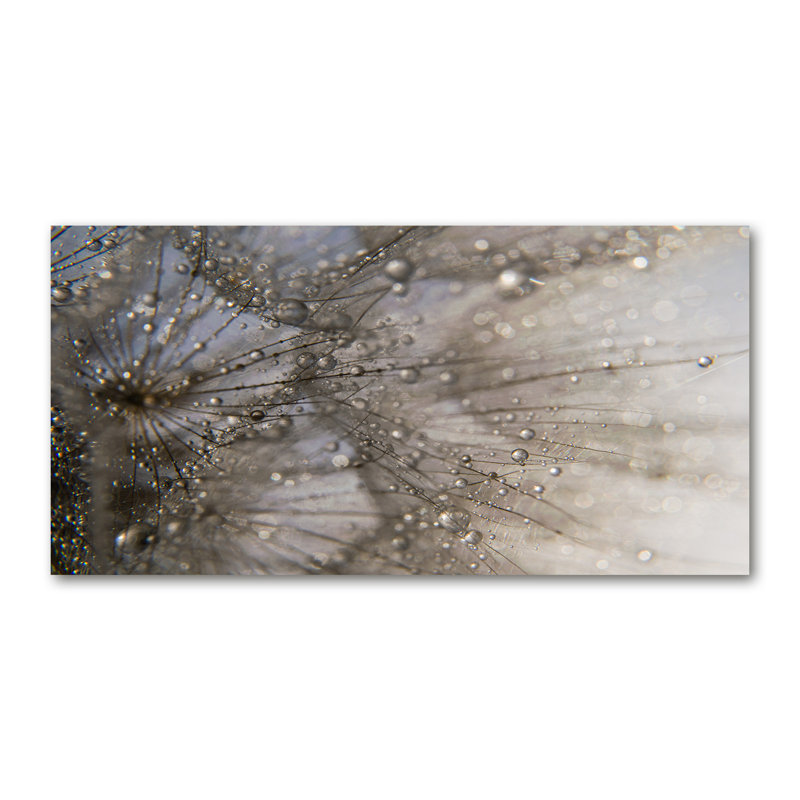 Dandelion Seeds - Print, 50cm H x 100cm W x 2cm D, Canvas