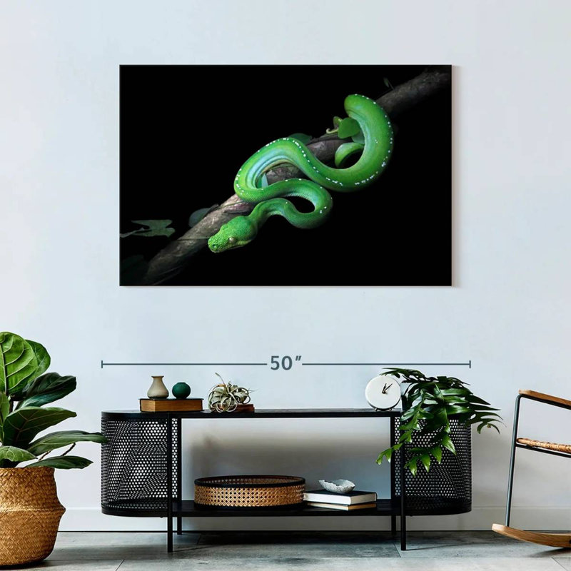 Brampt Green Python Slithering On A Branch, 30" H x 45" W